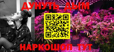 крисы Коммунар